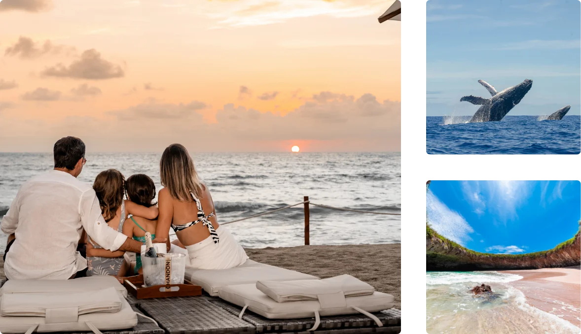 Hot sale 2025 Nuevo Vallarta y Punta de Mita