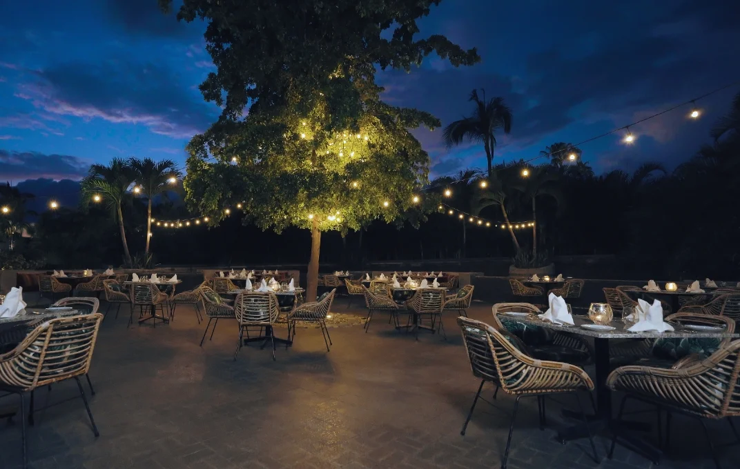 Essence – Contemporary International Cuisine