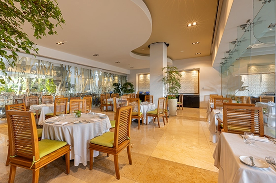 The Best Restaurant in Punta de Mita 